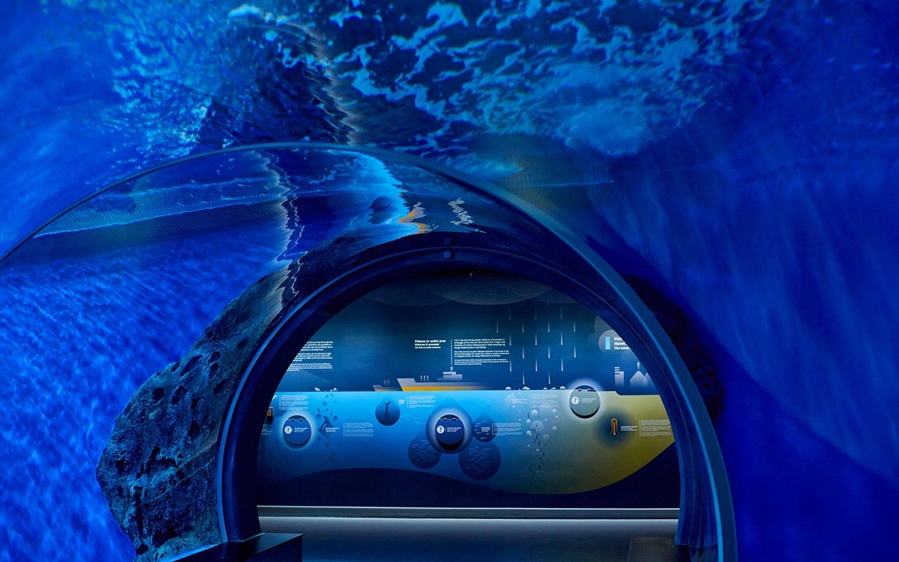 水族館設(shè)計