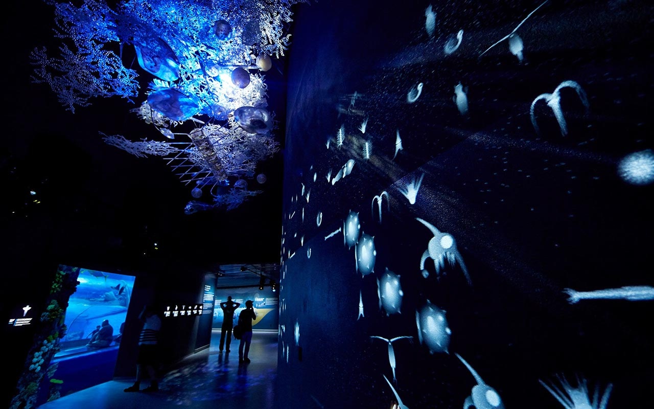 水族館設(shè)計