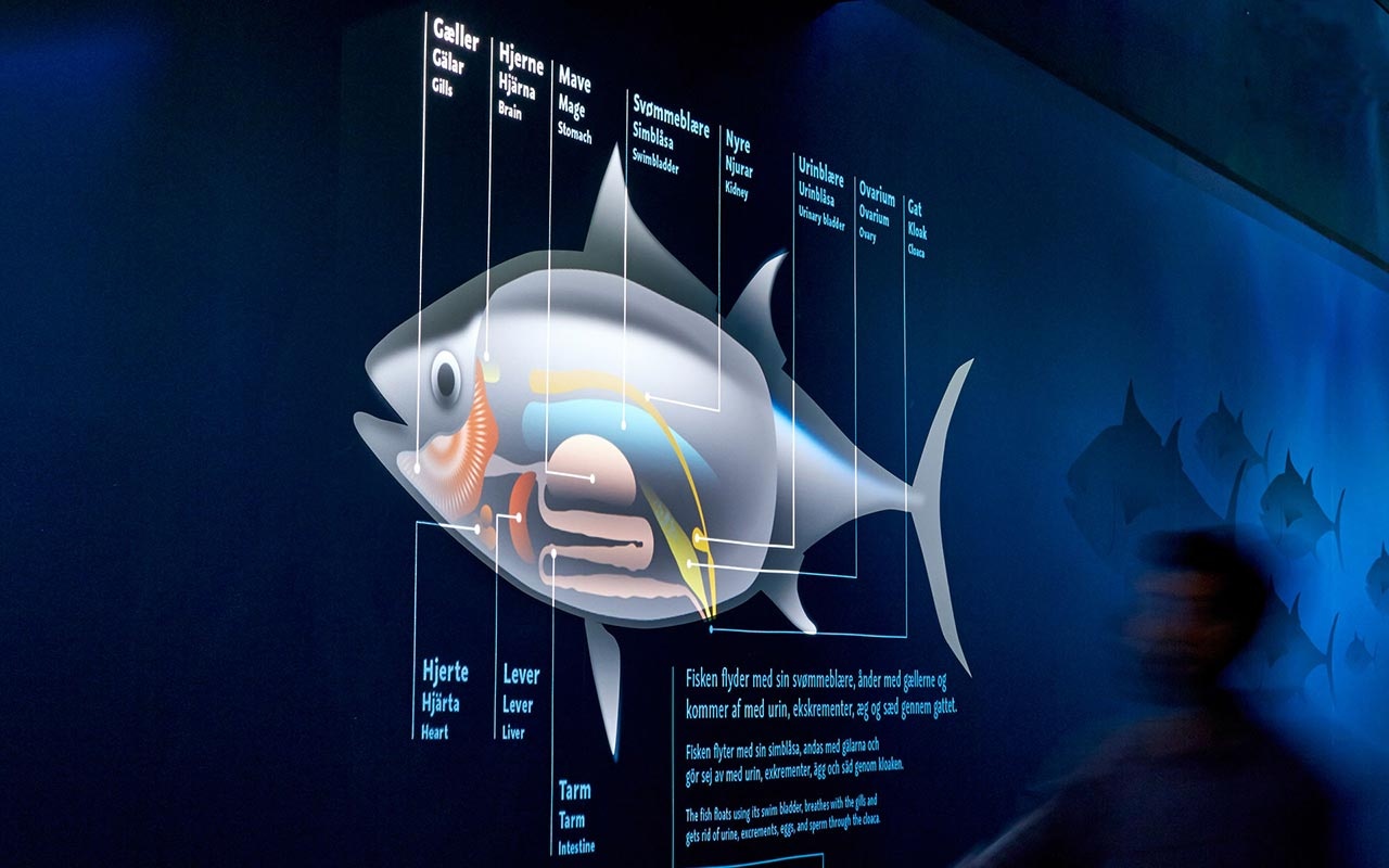 水族館設(shè)計