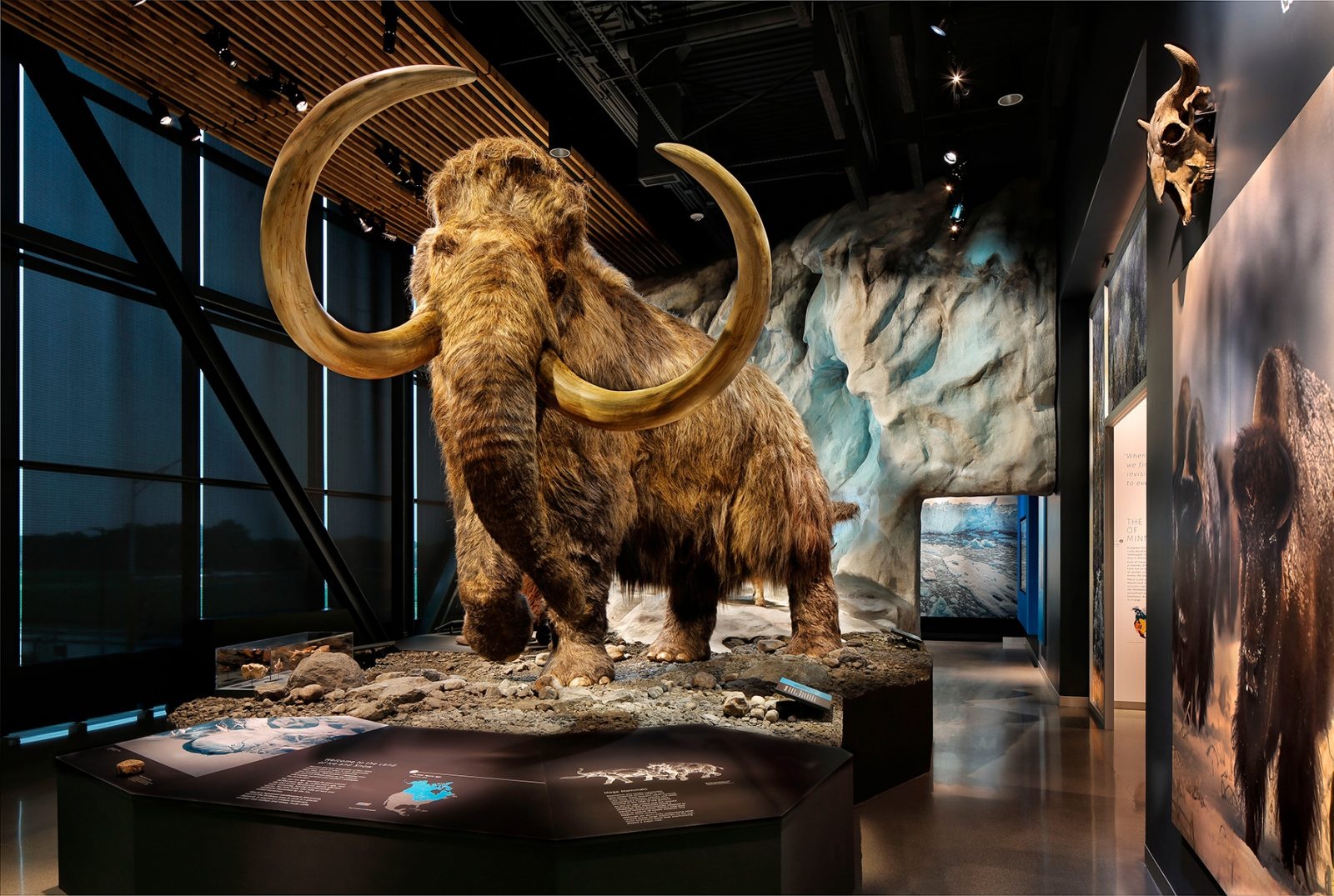 1574216246764446.jpg Bell-24V1-?-2018-Duncan-R.-Millar-1600x1075 - 副本.jpg